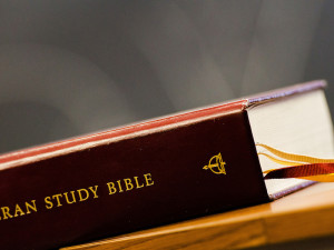 ref-bible-studies